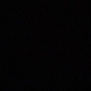 Meet your Posher, Matilda